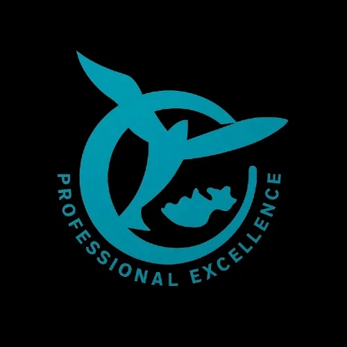 CVOCA Association